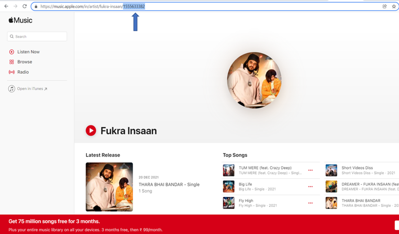 On the web browser